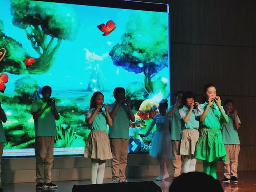 开封教投求实教业携手特殊教育学校孩子共祝第31次 全国助残日
